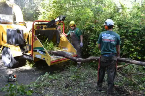 tree services Bunker Hill